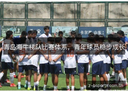 青岛海牛梯队比赛体系,青年球员稳步成长 青岛海牛梯队比赛体系,青年球员稳步成长
